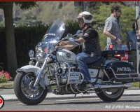 TSR Watermark - 0612